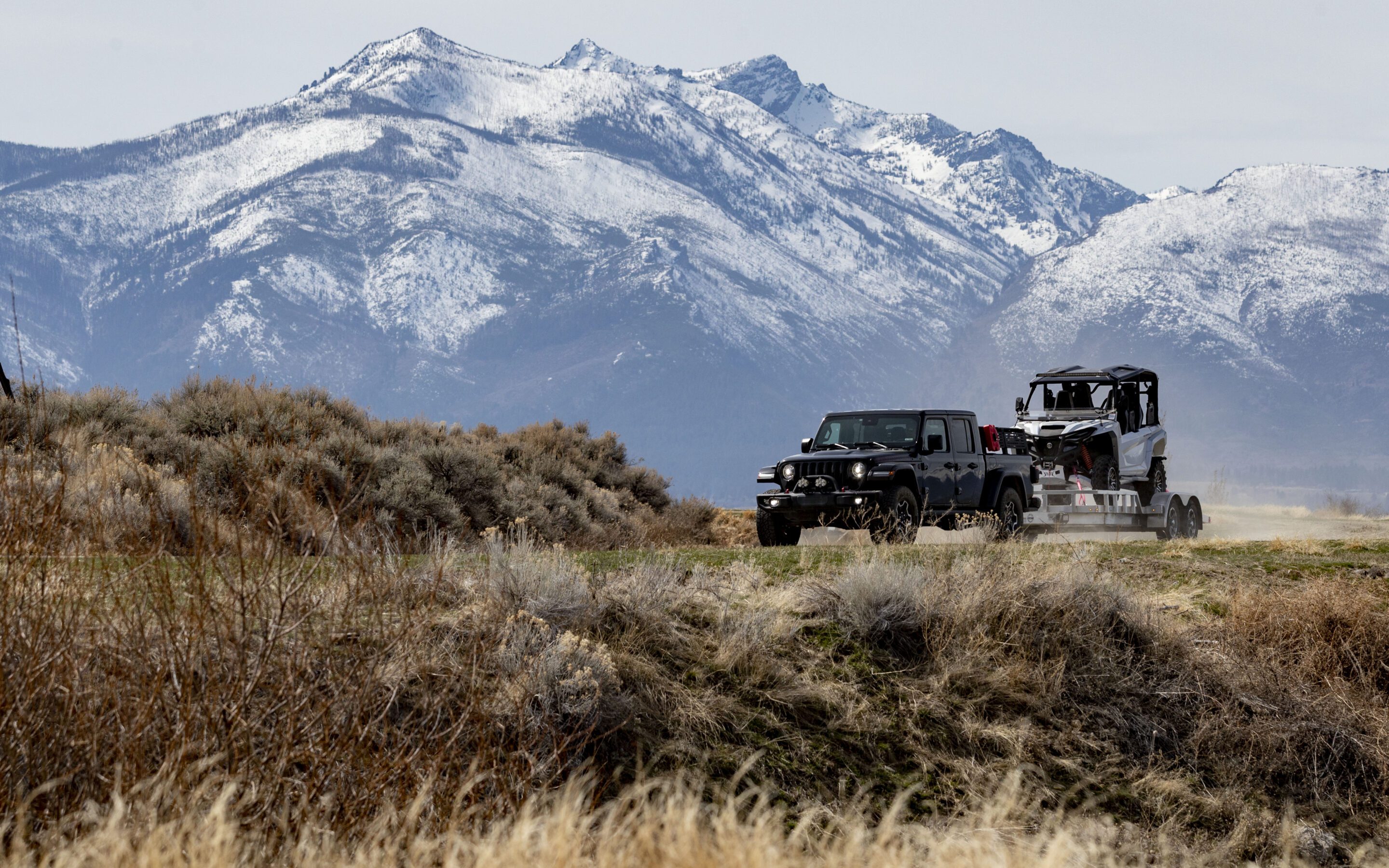 Cargo Trailers Lupo Motors